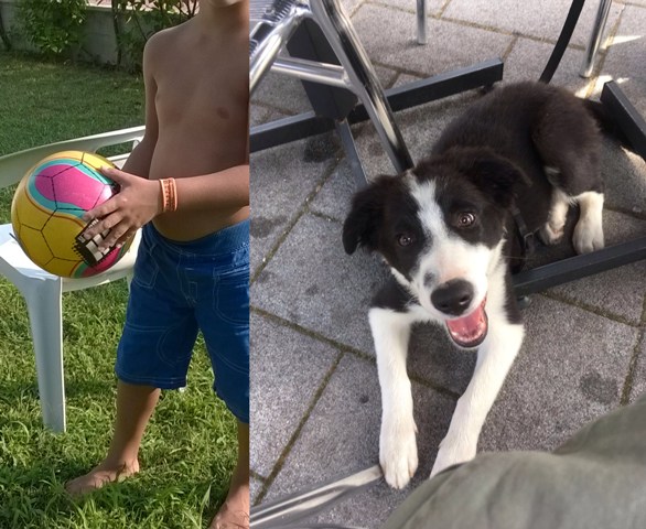 SeMiPerdo: come ritrovare bambini e pet